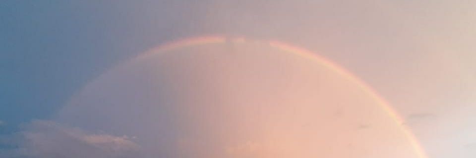 pearcee_'s profile banner image