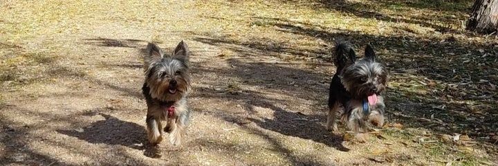 _esther99's profile banner image