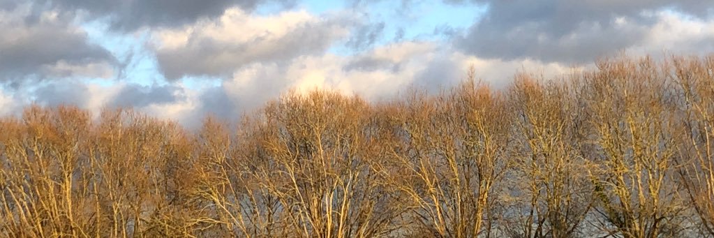 Helen Mountfield banner