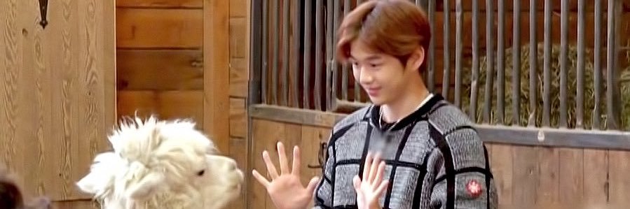 wannaFlowD's profile banner image