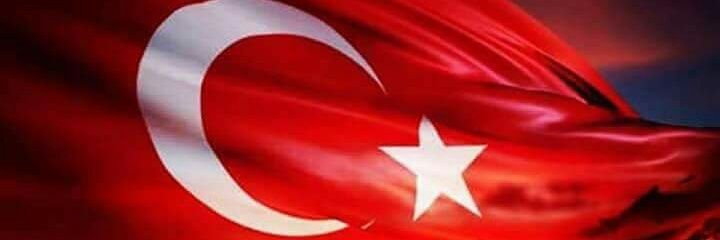 sevgi_balta_'s profile banner image