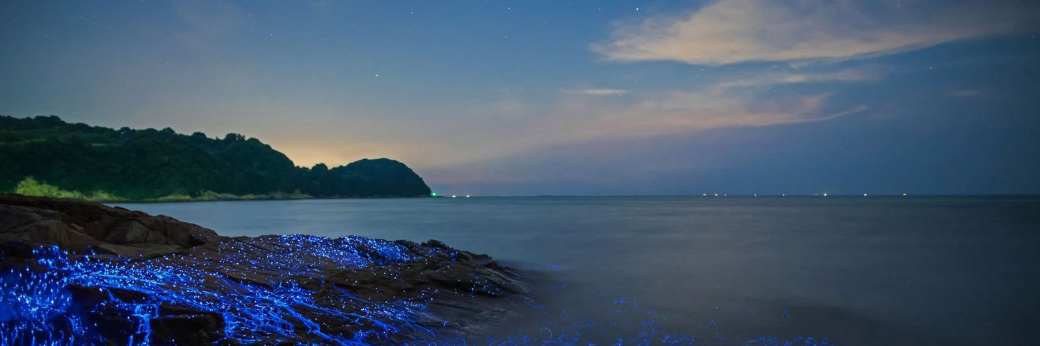 Balaputradewa banner