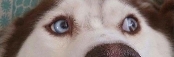 aahtann's profile banner image