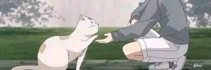 Sakura Silver banner