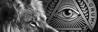 RxbinBqt's profile banner image