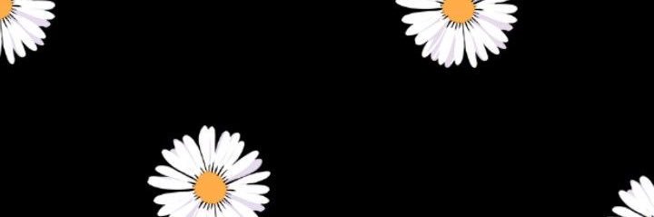 alsaaa1's profile banner image
