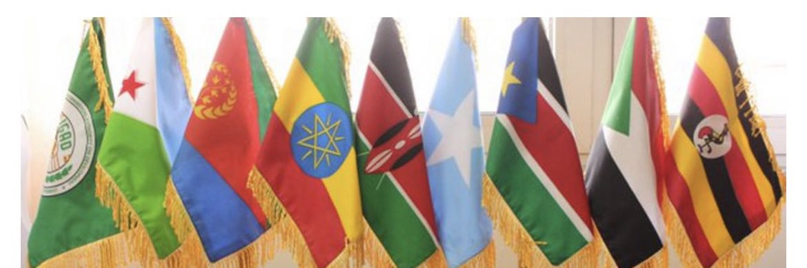 Mohamed Abdi Ware's banner