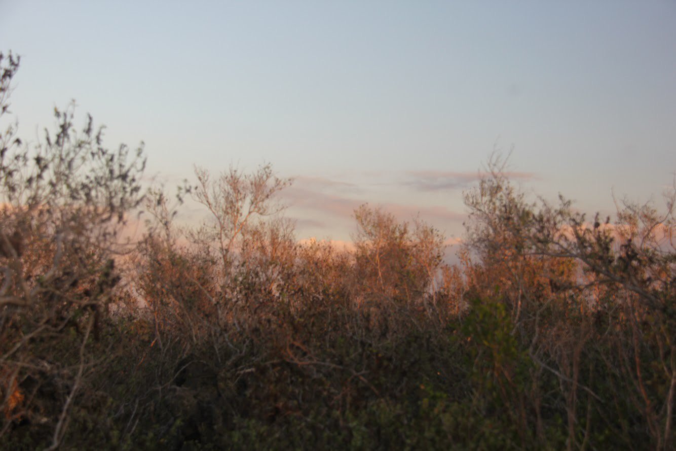 HelenSteiro's profile banner image