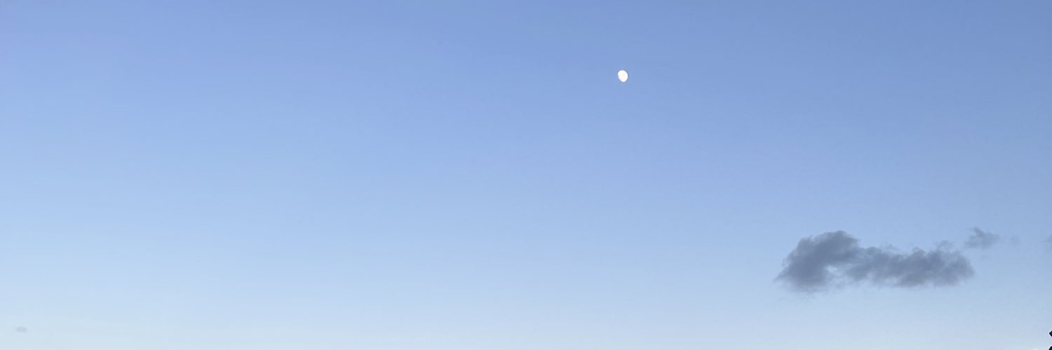 LisaWarmiC's profile banner image