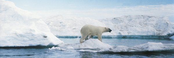 PolarThermalUK Profile Banner