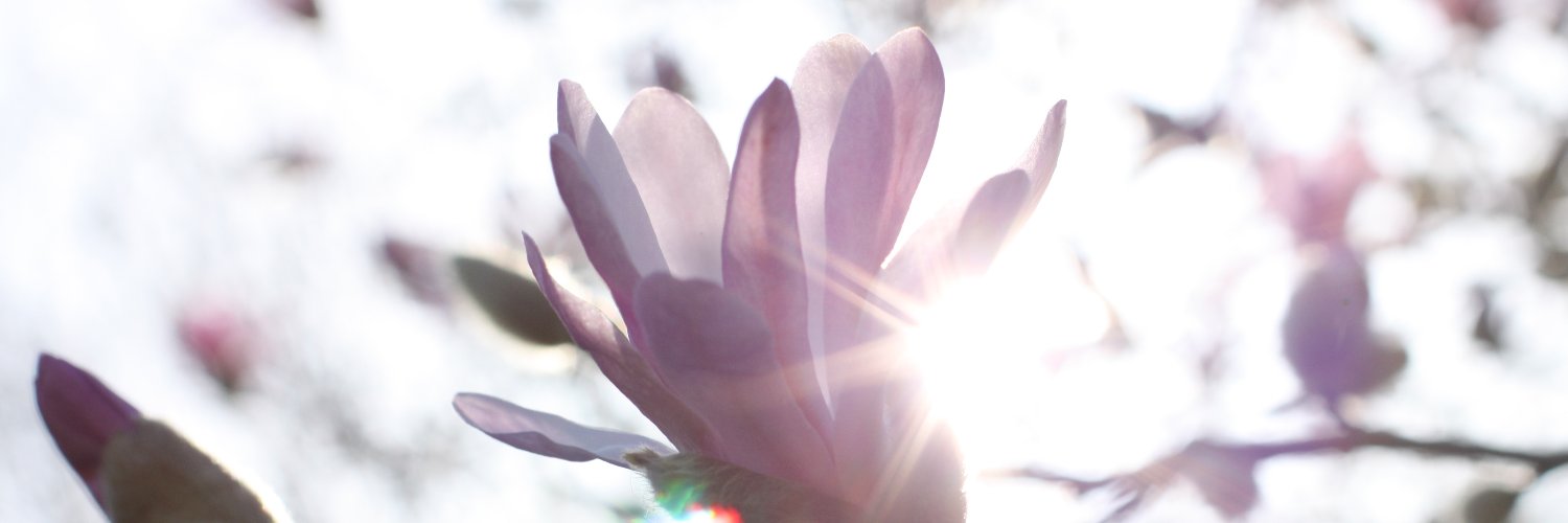 Brendon McConnell banner