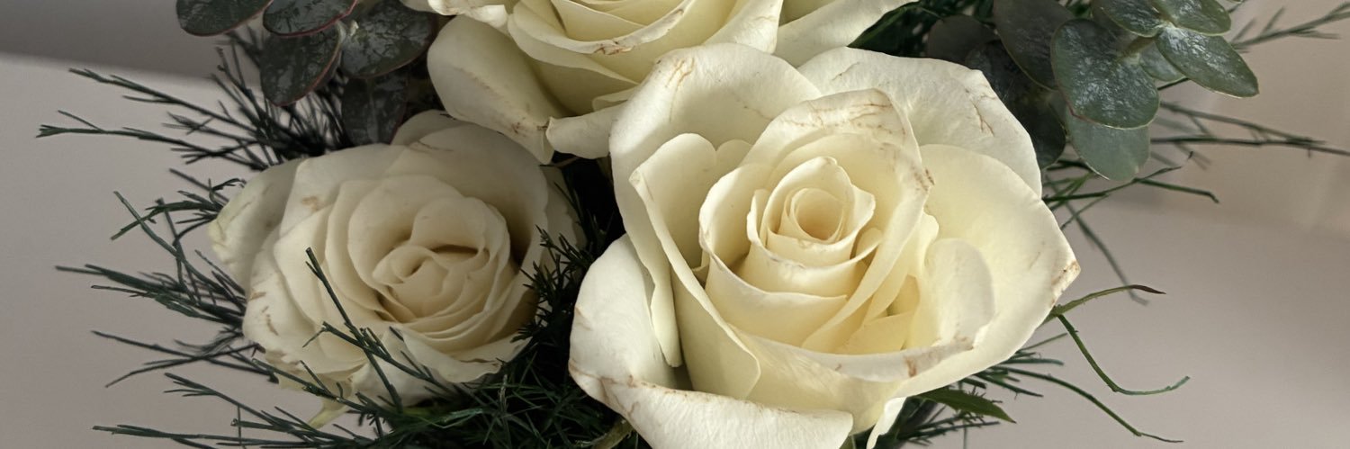 zlem42675952's profile banner image