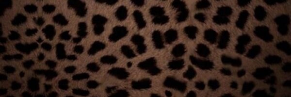 DoeEyeSwan Profile Banner