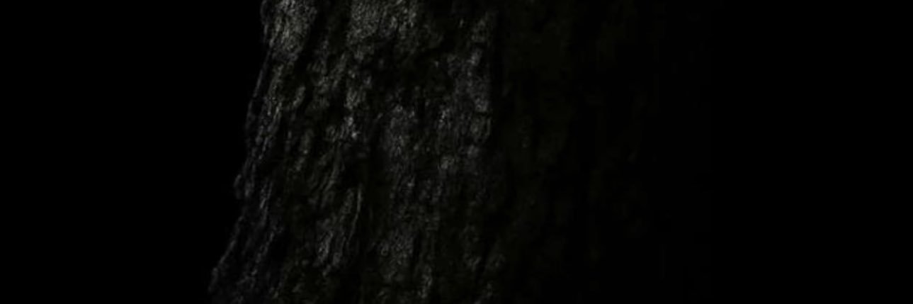 kclajy's profile banner image