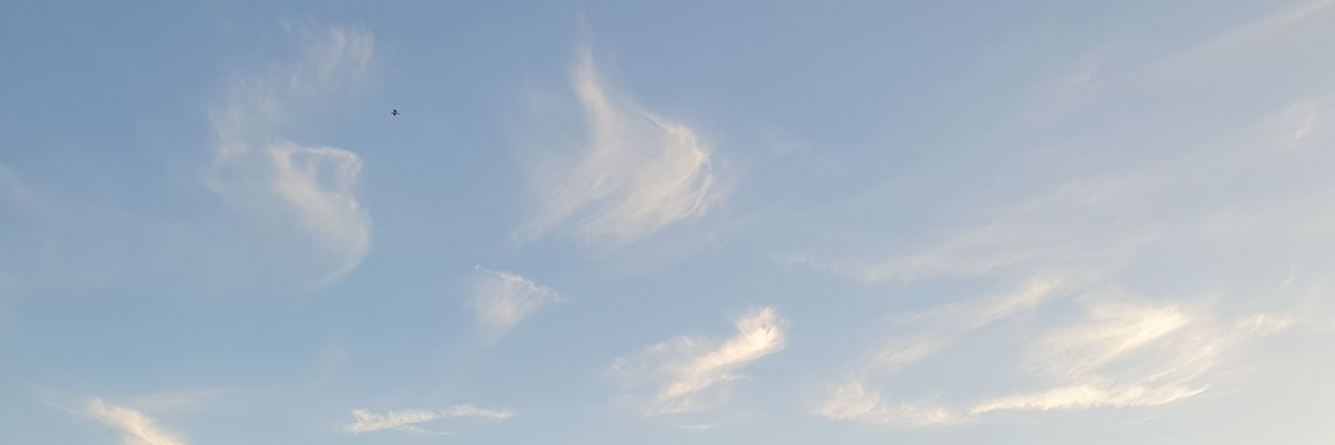 Rooster2020Red's profile banner image