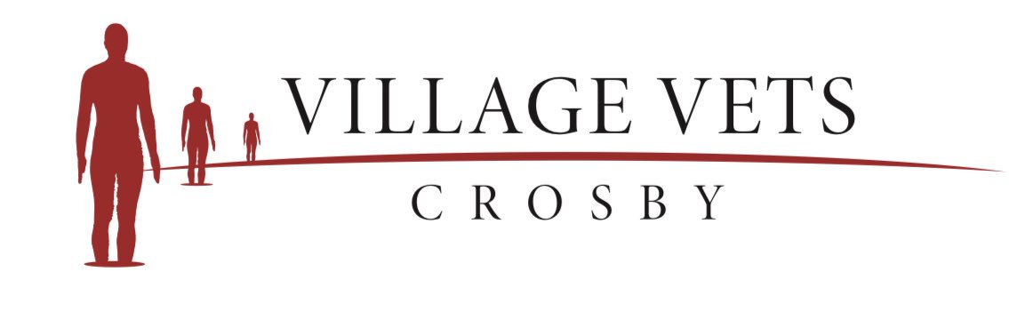 CrosbyVets's profile banner image