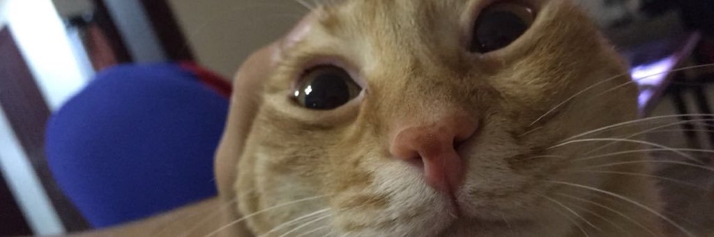 batttuh's profile banner image