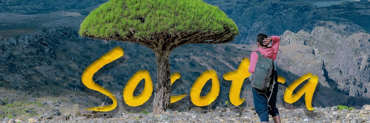 3yashsh's profile banner image