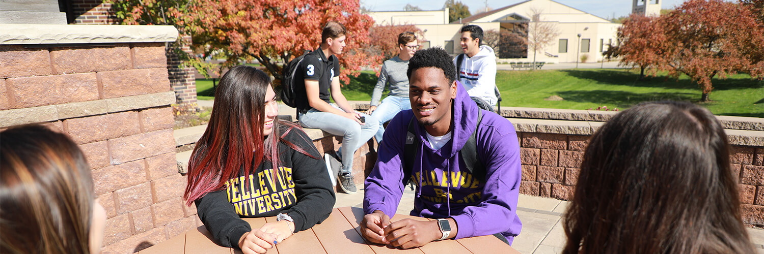 Bellevue University banner