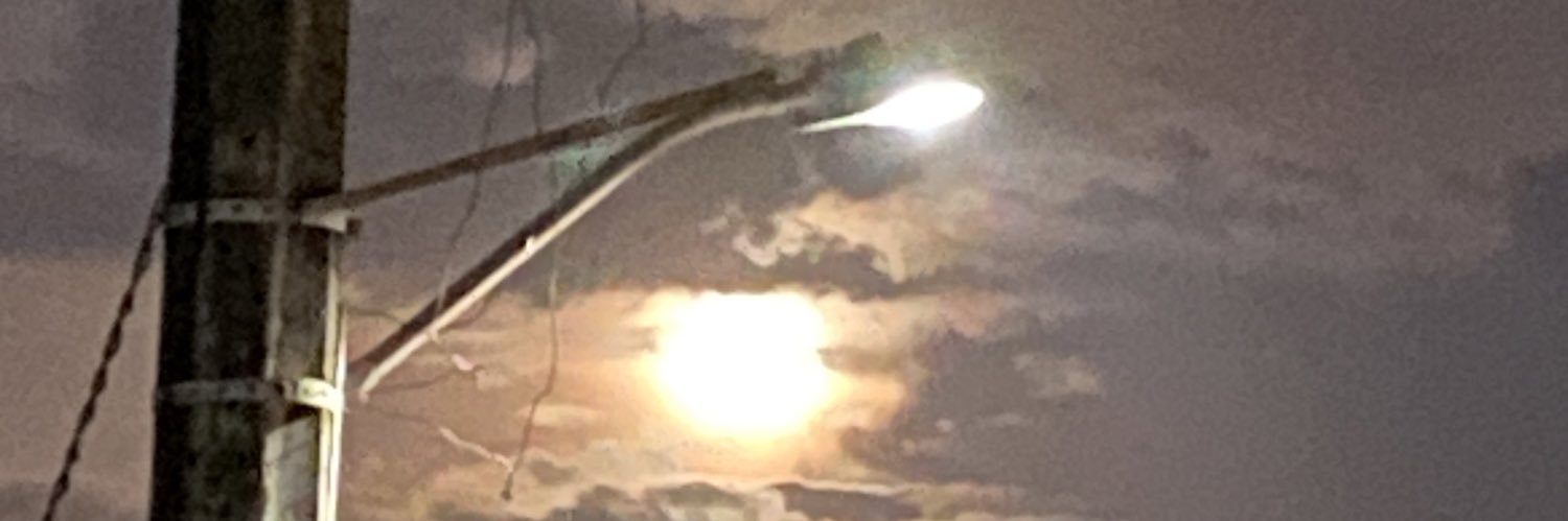 midee's profile banner image