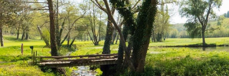 bonemaison's profile banner image