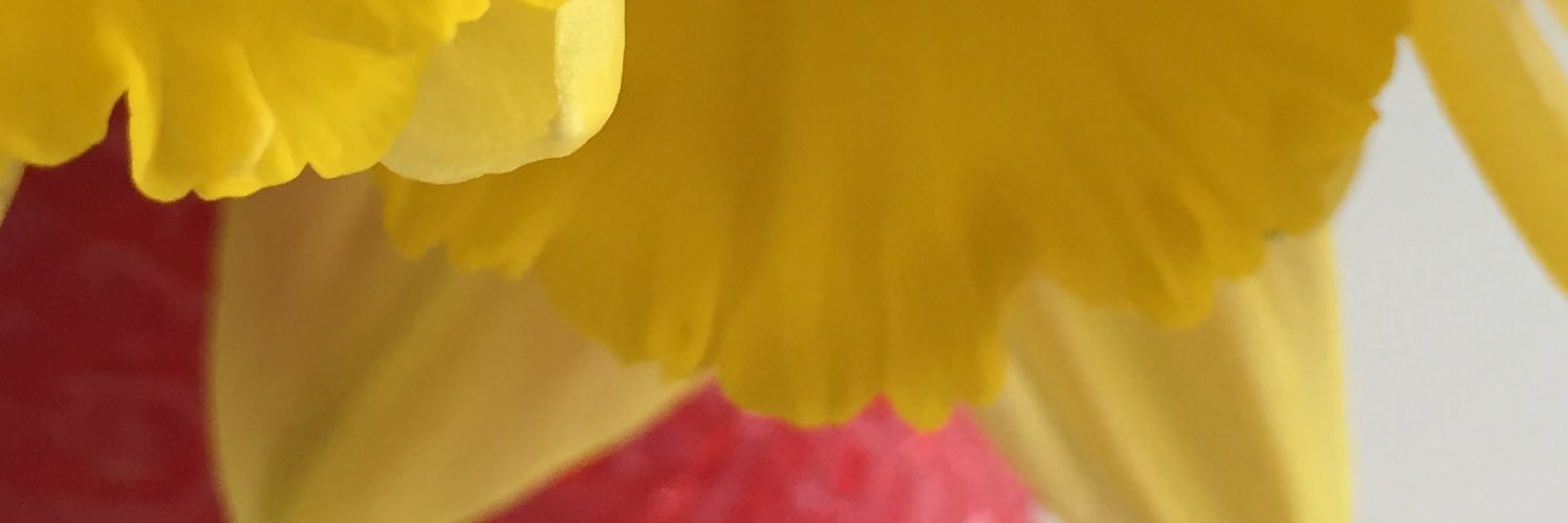 berglundskans's profile banner image