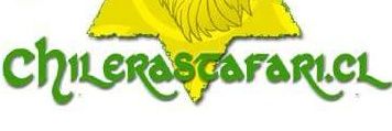 chilerastafari's profile banner image
