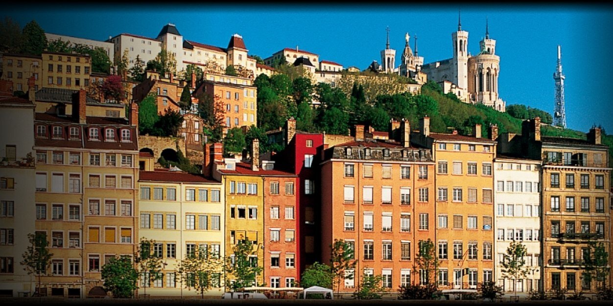 vernen ♦️💗🐾 banner