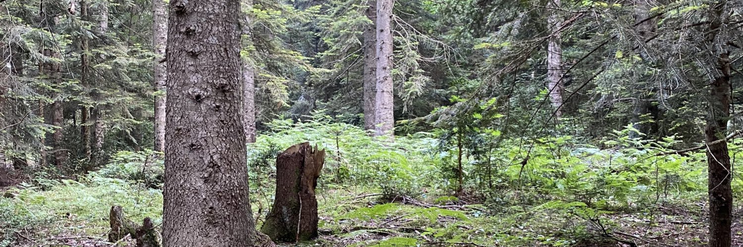 zapata🇹🇷🇵🇸🇳🇴🏴󠁧󠁢󠁳󠁣󠁴󠁿🇪🇸🇮🇪 banner