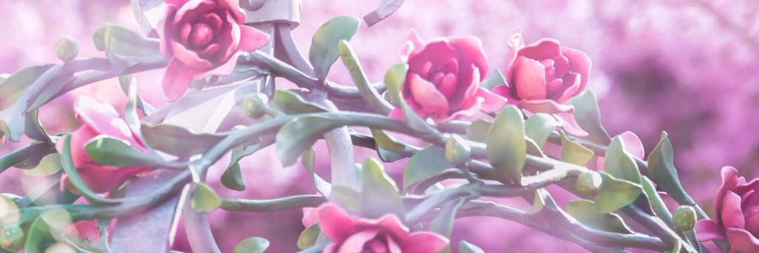 nyan_tonyapi's profile banner image