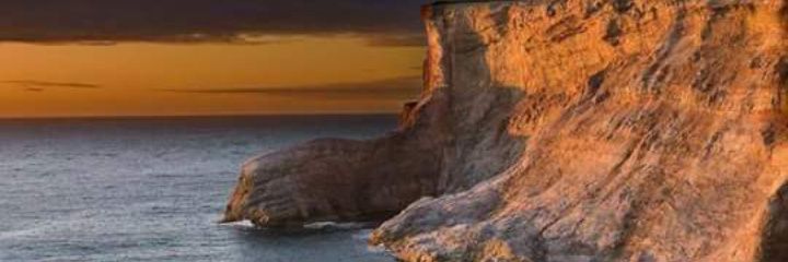 Liza Benoit 🇨🇦 🇺🇦 banner