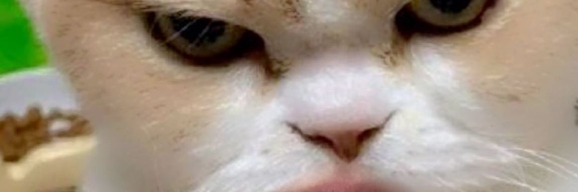 masterclasss_'s profile banner image