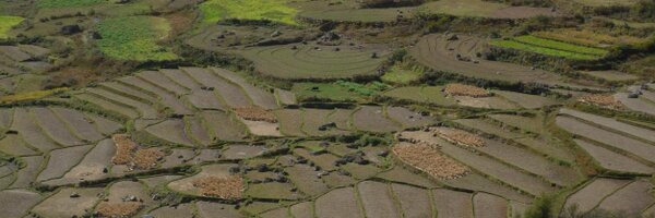 CraigHutton4 Profile Banner