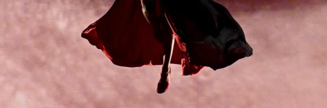 Vixi bad bad girl banner
