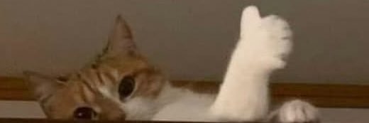 Charlie. banner