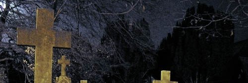 Panda 🐼🩸┊VTUBER banner