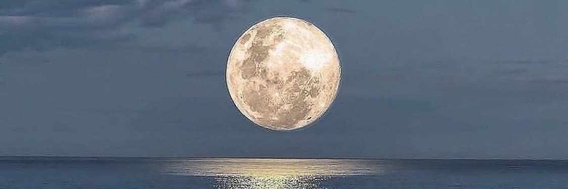 MrAnglemoon's profile banner image