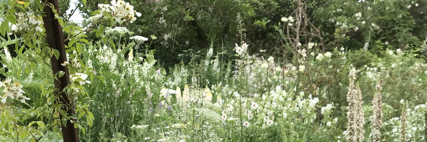 Claire Goodman💚 banner