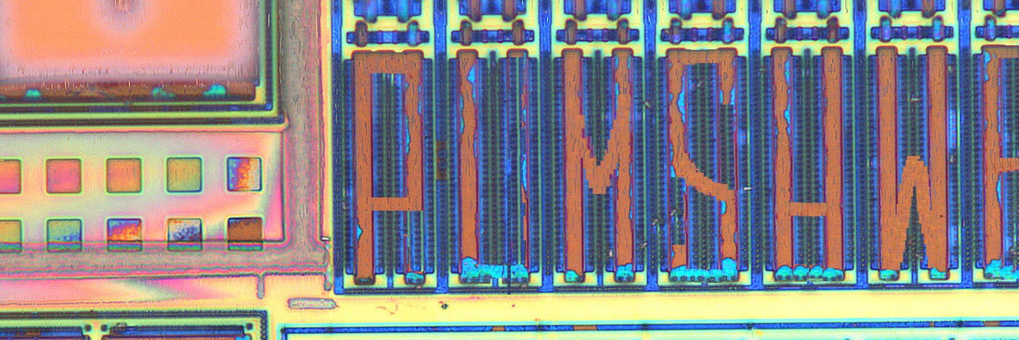 PLM_SHWSE's profile banner image