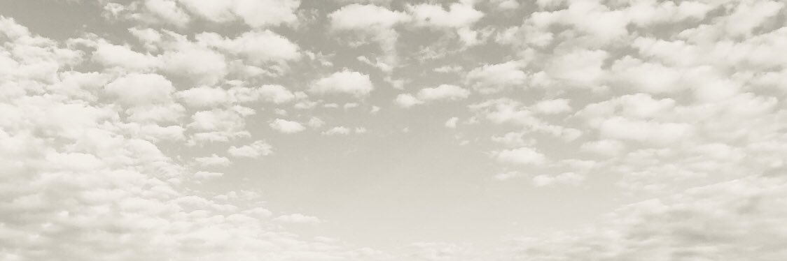 Astor Pizzaiola banner