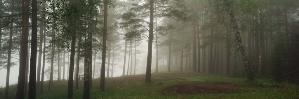 Robert Patrick as the T-1000 banner
