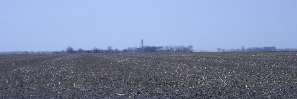 Professor Wall banner