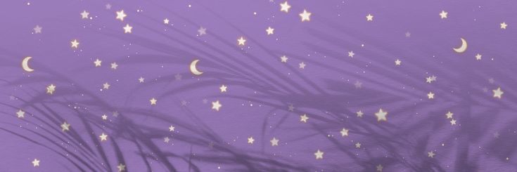 Ariana Godoy💜 ✨SMV✨ banner