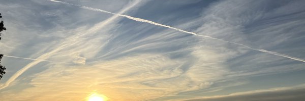 Cryptonewbie11 Profile Banner