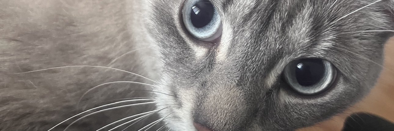 h banner