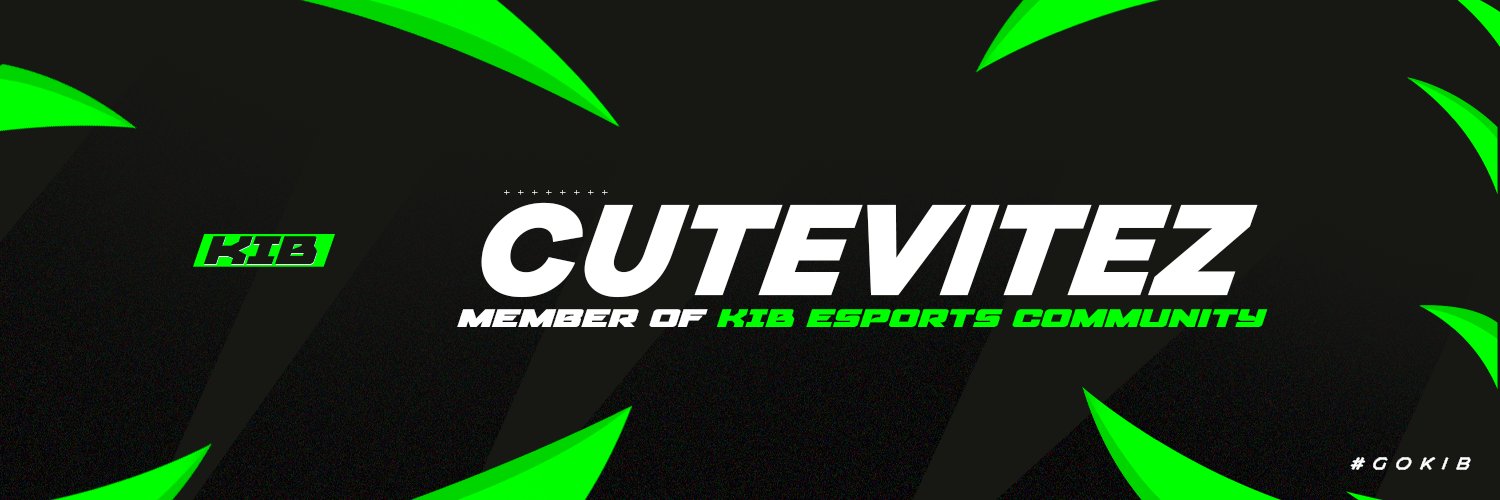 vitezzz banner