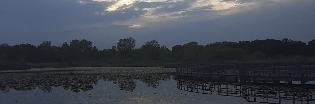 Bfossbecc's profile banner image