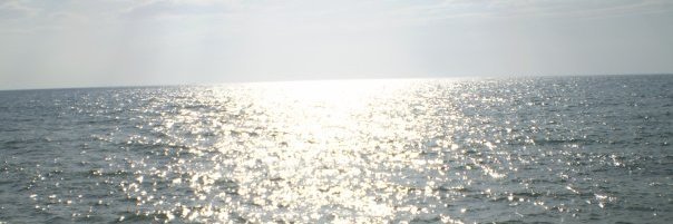 Houssem E. Chachia حسام الدين شاشية banner