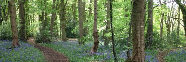 hjdwight Profile Banner