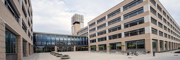 DirectorIPS Profile Banner